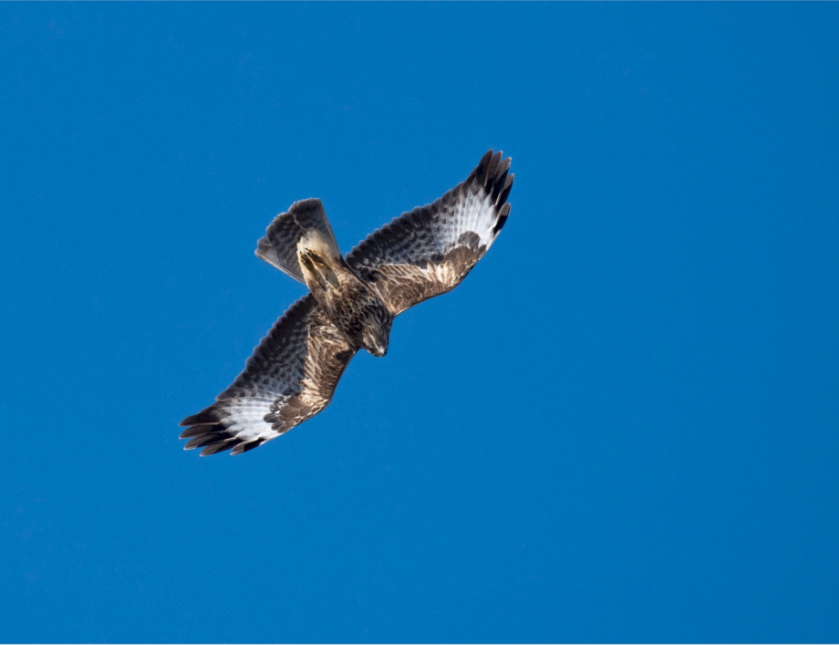 02 Percorso Desteglio - San Bernardo - Costa dei Campi
