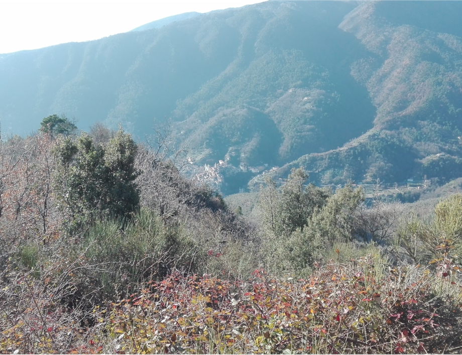 04 Percorso Ceriana – Cima Furchè – Rifugio della Valle del Lago